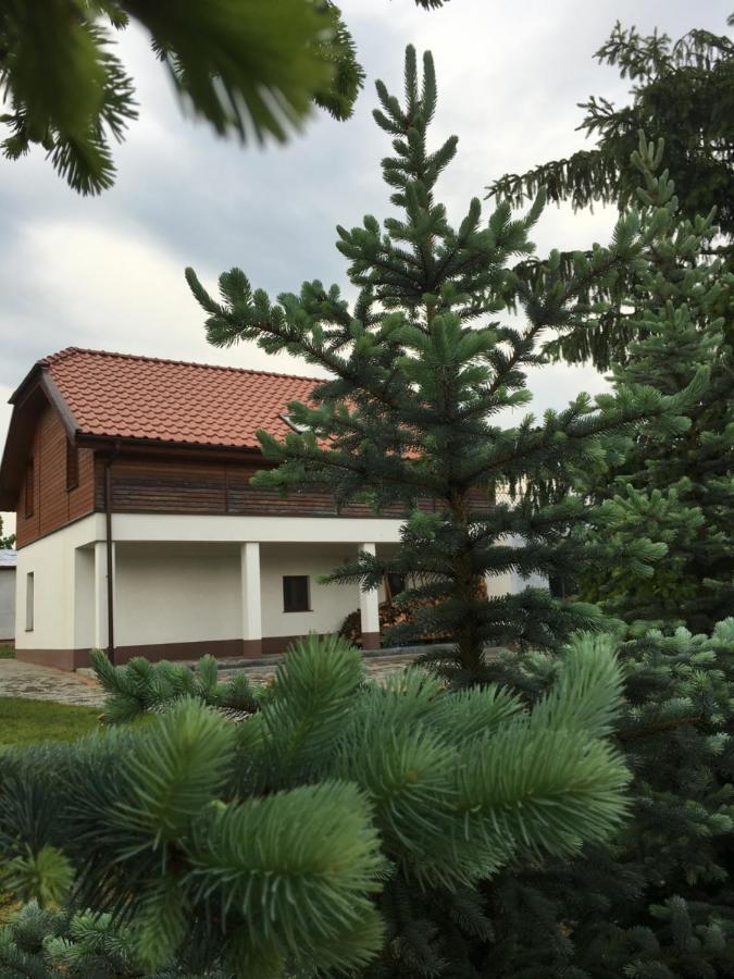 Pokoje Kasztanowa Wilkasy Exterior photo